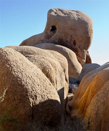 Joshua Tree NP
 Hero