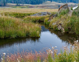 Yellowstone NP
 Hero
