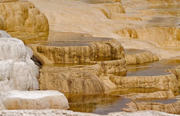 Yellowstone NP
 Hero