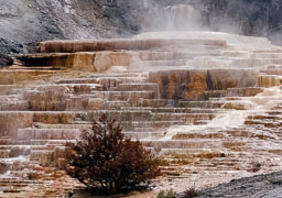 Yellowstone NP
 Hero