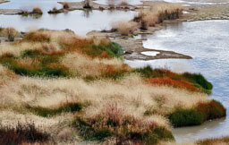 Yellowstone NP
 Hero